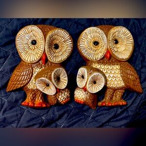 1970’s owls